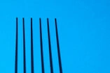 Unbearbeitetes Bild schs von zwölf vom Schattenspiel SPAGH-ART